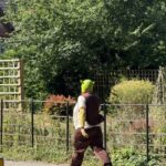 Shrek
