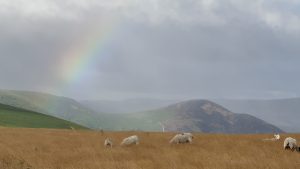 Rainbow on Offas Dyke Path - Rollin 100